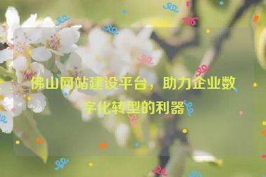 佛山網(wǎng)站建設(shè)平臺(tái)，助力企業(yè)數(shù)字化轉(zhuǎn)型的利器