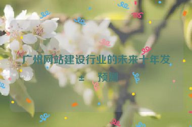 廣州網(wǎng)站建設(shè)行業(yè)的未來(lái)十年發(fā)展預(yù)測(cè)