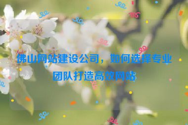 佛山網(wǎng)站建設(shè)公司，如何選擇專業(yè)團隊打造高效網(wǎng)站