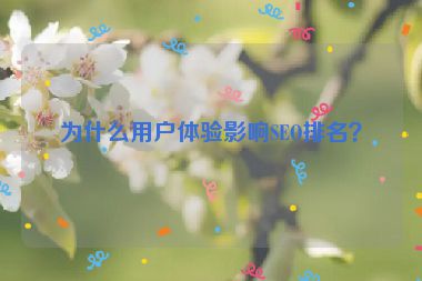為什么用戶體驗影響SEO排名？