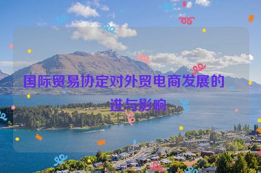國際貿(mào)易協(xié)定對外貿(mào)電商發(fā)展的促進與影響