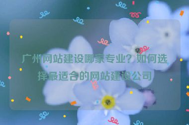 廣州網(wǎng)站建設(shè)哪家專(zhuān)業(yè)？如何選擇最適合的網(wǎng)站建設(shè)公司