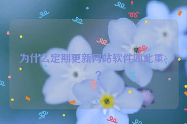 為什么定期更新網(wǎng)站軟件如此重要？