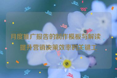 月度推廣報告的制作模板與解讀，提升營銷決策效率的關(guān)鍵工具