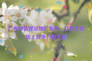 廣州網(wǎng)站建設(shè)推廣服務(wù)，打造企業(yè)線上競爭力的關(guān)鍵