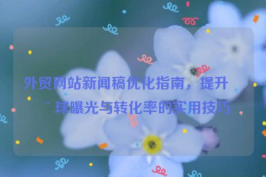 外貿(mào)網(wǎng)站新聞稿優(yōu)化指南，提升全球曝光與轉(zhuǎn)化率的實用技巧