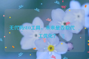 無代碼SEO工具，未來是否取代人工優(yōu)化？
