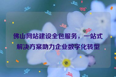佛山網(wǎng)站建設(shè)全包服務(wù)，一站式解決方案助力企業(yè)數(shù)字化轉(zhuǎn)型