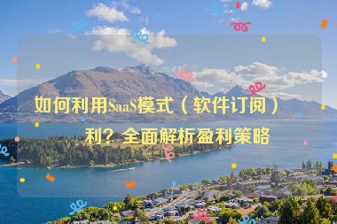 如何利用SaaS模式（軟件訂閱）盈利？全面解析盈利策略