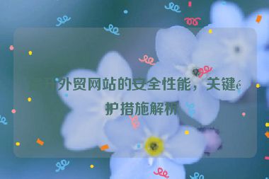 提升外貿(mào)網(wǎng)站的安全性能，關鍵防護措施解析