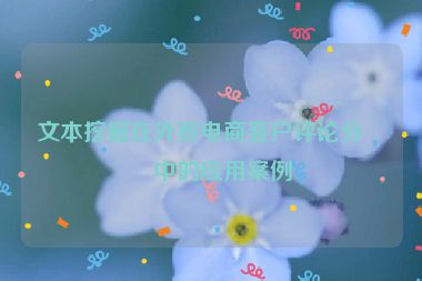 文本挖掘在外貿(mào)電商客戶評論分析中的應用案例