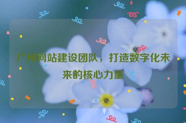 廣州網(wǎng)站建設(shè)團(tuán)隊(duì)，打造數(shù)字化未來(lái)的核心力量