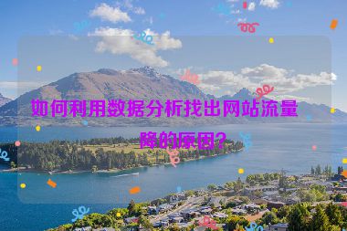 如何利用數(shù)據(jù)分析找出網(wǎng)站流量下降的原因？