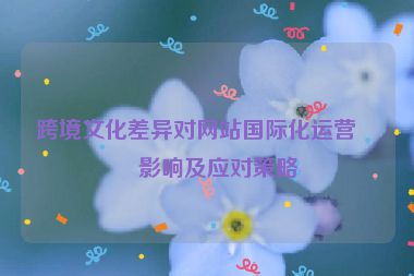 跨境文化差異對(duì)網(wǎng)站國際化運(yùn)營的影響及應(yīng)對(duì)策略