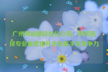 廣州網(wǎng)站建設(shè)優(yōu)化公司，如何選擇專(zhuān)業(yè)服務(wù)提升企業(yè)數(shù)字化競(jìng)爭(zhēng)力