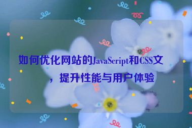 如何優(yōu)化網(wǎng)站的JavaScript和CSS文件，提升性能與用戶體驗