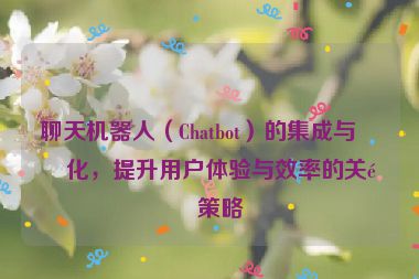 聊天機(jī)器人（Chatbot）的集成與優(yōu)化，提升用戶體驗(yàn)與效率的關(guān)鍵策略