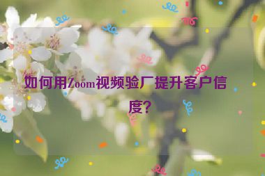 如何用Zoom視頻驗廠提升客戶信任度？
