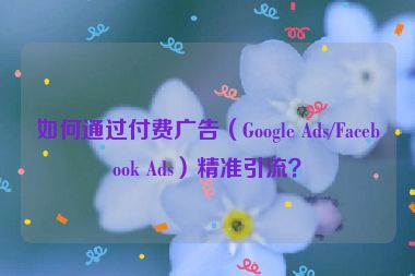 如何通過付費廣告（Google Ads/Facebook Ads）精準引流？