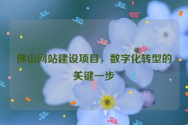 佛山網(wǎng)站建設(shè)項目，數(shù)字化轉(zhuǎn)型的關(guān)鍵一步