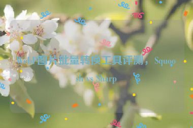 WebP圖片批量轉(zhuǎn)換工具評(píng)測(cè)，Squoosh vs Sharp