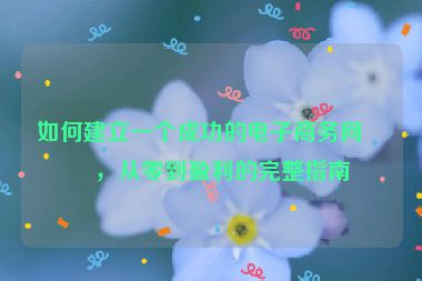 如何建立一個成功的電子商務(wù)網(wǎng)站，從零到盈利的完整指南