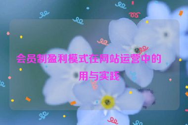 會(huì)員制盈利模式在網(wǎng)站運(yùn)營中的應(yīng)用與實(shí)踐