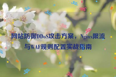 網(wǎng)站防御DDoS攻擊方案，Nginx限流與WAF規(guī)則配置實(shí)戰(zhàn)指南