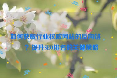 如何獲取行業(yè)權威網(wǎng)站的反向鏈接？提升SEO排名的關鍵策略