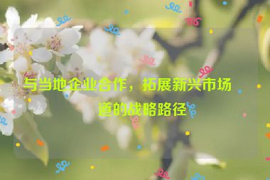 與當(dāng)?shù)仄髽I(yè)合作，拓展新興市場(chǎng)渠道的戰(zhàn)略路徑