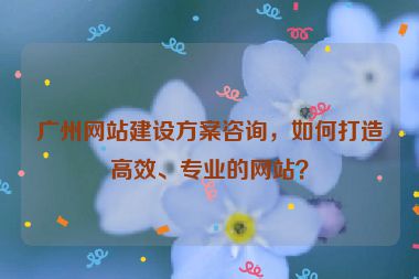 廣州網(wǎng)站建設(shè)方案咨詢，如何打造高效、專業(yè)的網(wǎng)站？
