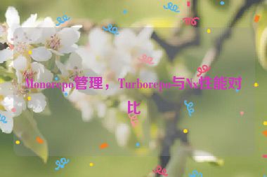 Monorepo管理，Turborepo與Nx性能對(duì)比